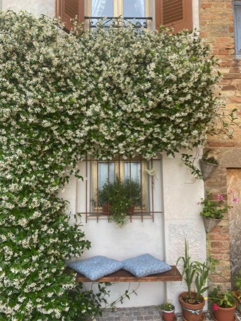 Апартаменты La Casa Del Gelsomino Аквавива-Пичена Экстерьер фото
